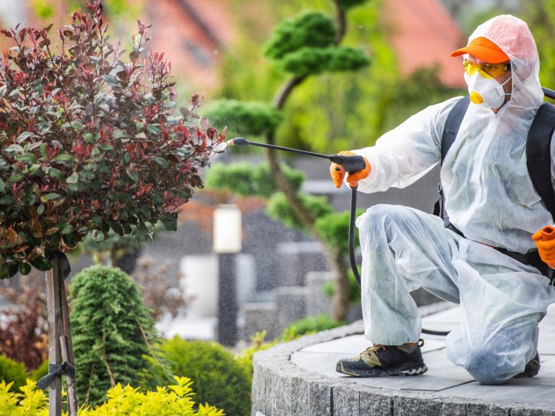 Mezitli Haşere İlaçlama